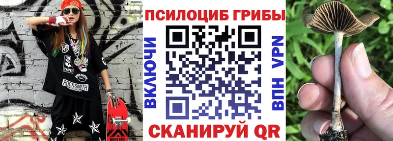 Псилоцибиновые грибы MAGIC MUSHROOMS  Купить закладки  Североуральск 