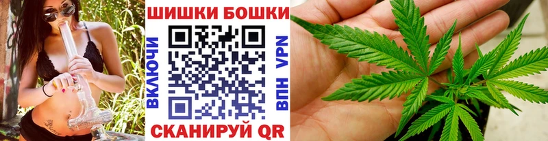 Купить закладки  Североуральск  Бошки Шишки SATIVA & INDICA 